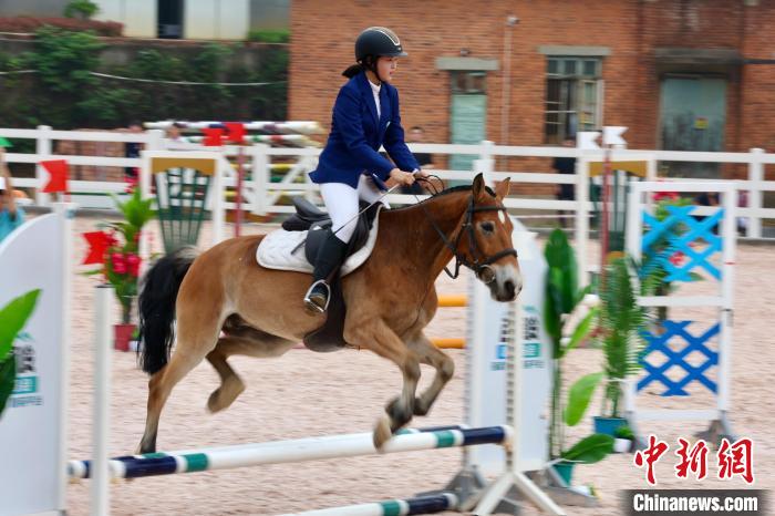 江西以马术赛事促文体旅融合发展：南昌百峰岭